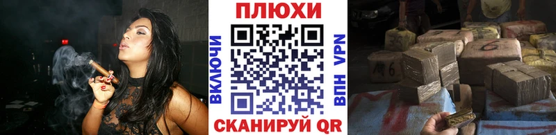 купить   Гусев  ГАШИШ индика сатива 