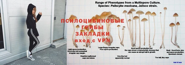 амф Богородск