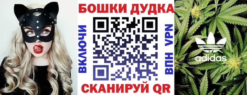 сайты даркнета наркотические препараты  Гусев  Бошки марихуана SATIVA & INDICA 